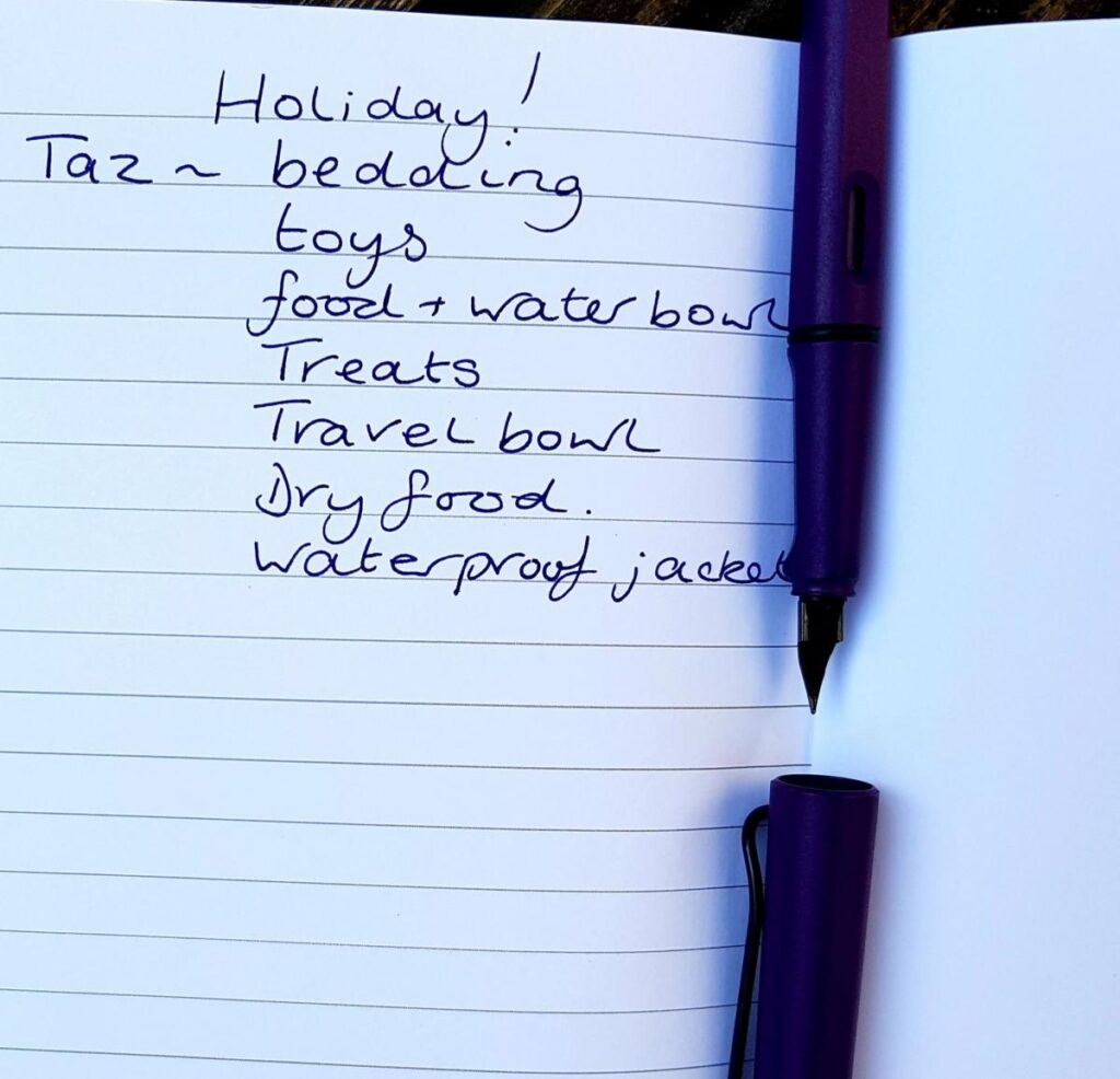 Pineapple notebook showing writing with a fountain pen