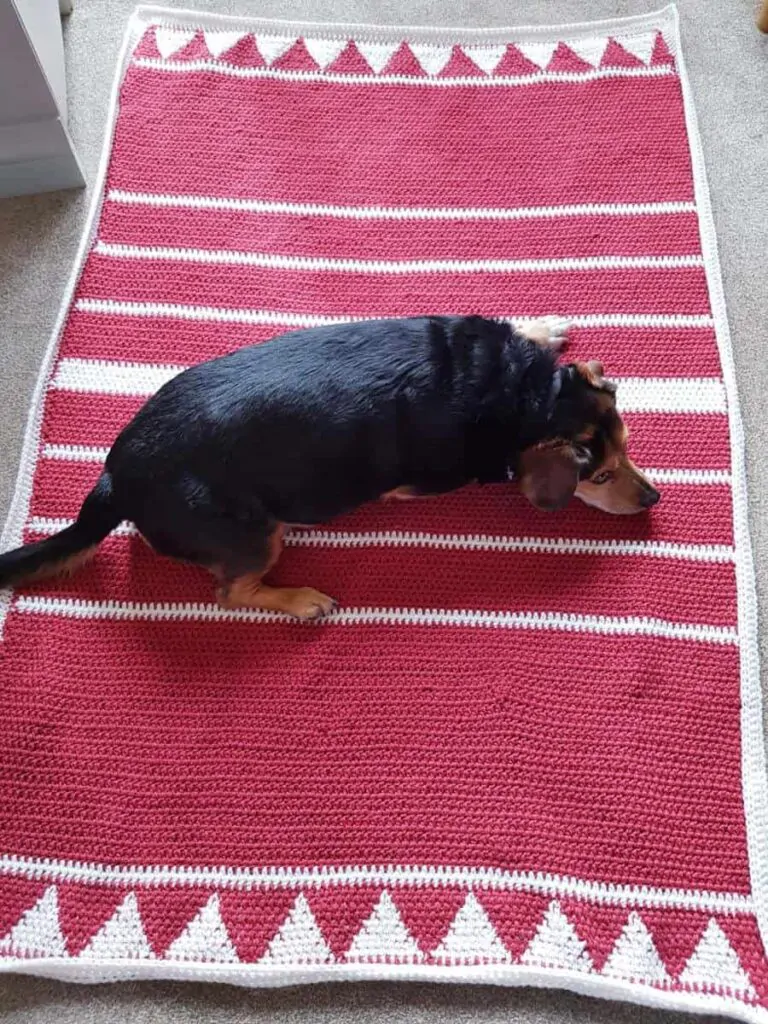 Dog laying on the finished crochet Christmas blanket