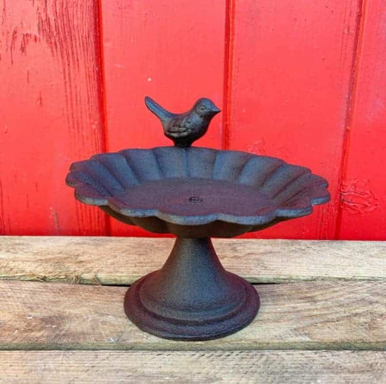 cast iron birdbath with a robin perched on the side