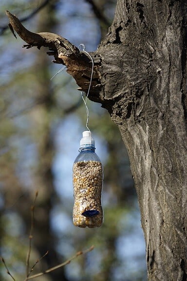 A homemade bird feeder made out of a plastic bottle filled with bird seed