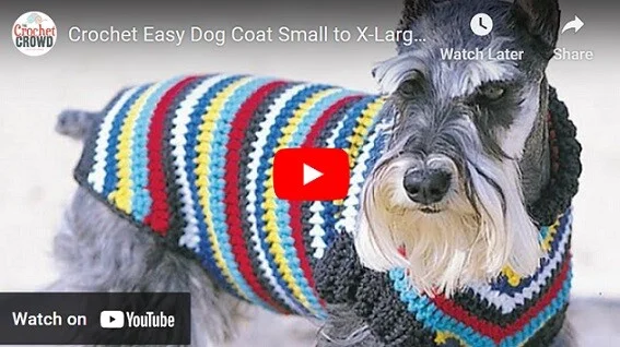 A dog is wearing a striped crochet sweater