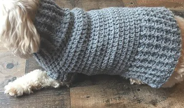 small dog in a grey crocheted dog sweater