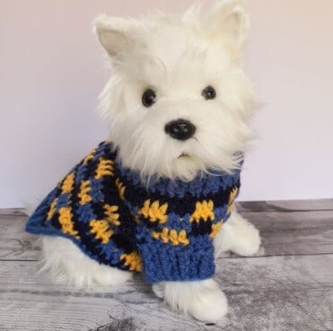 dog wearing a checkered crochet dog sweater