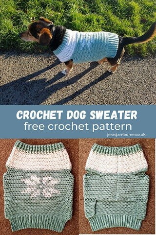 montage of three images 1) medium sized mixed breed dog wearing a crochet sweater n green and white  2) front of the crochet dog sweater 3) back of the crochet dog sweater