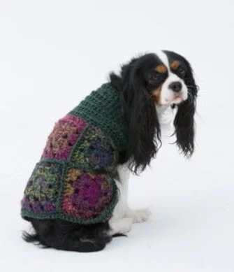 King Charles spaniel wearing a dog sweater made from granny squares