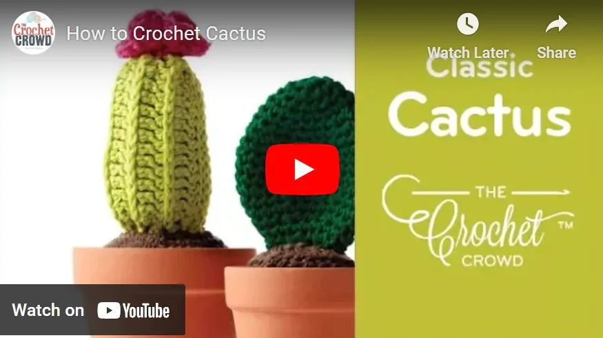 Youtube thumbnail showing a crochet cactus