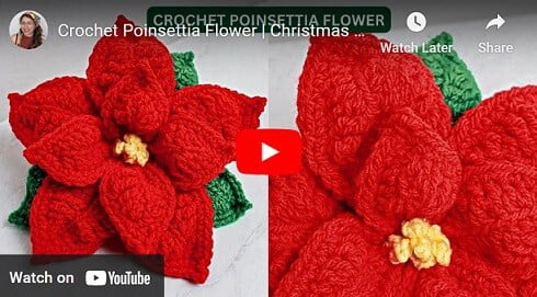 Youtube thumbnail showing a crochet poinsietta