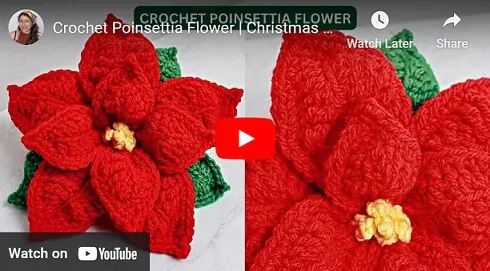 Youtube thumbnail showing a crochet poinsietta
