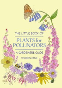 book cover for The Little Book of Plants for Pollinators by Maureen Little. Illustrations of plants with a butterfly and bee
