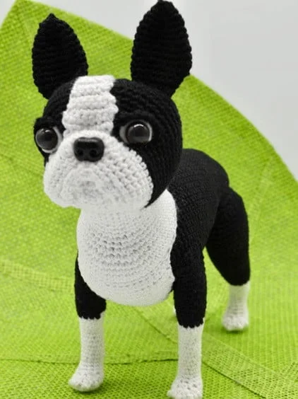 A toy Boston Terrier is standing up on a green floor