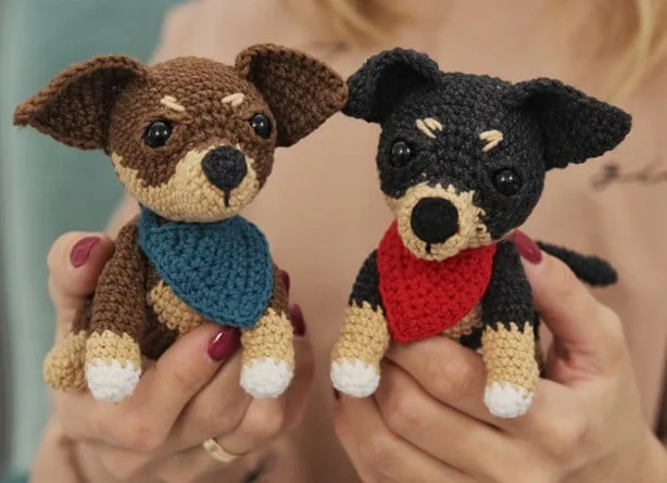 Two toy dogs are being held together