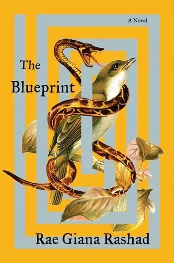 book cover for The Blueprint by Rae Giana Rashad.  A snake is wrapped around a bird and is just about to strike
