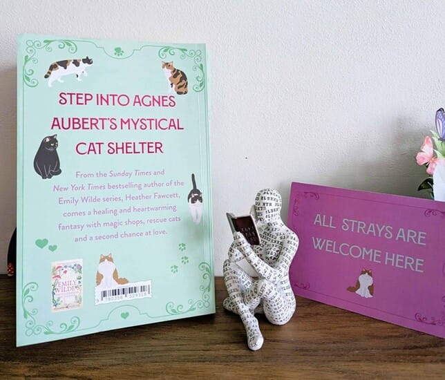 The back cover of Agnes Aubert’s Mystical Cat Shelter by Heather Fawcett displayed on a wooden surface, featuring a pale mint green design with cat illustrations and book blurb text. Beside it is a decorative seated reading figure and a pink sign reading “All Strays Are Welcome Here.”