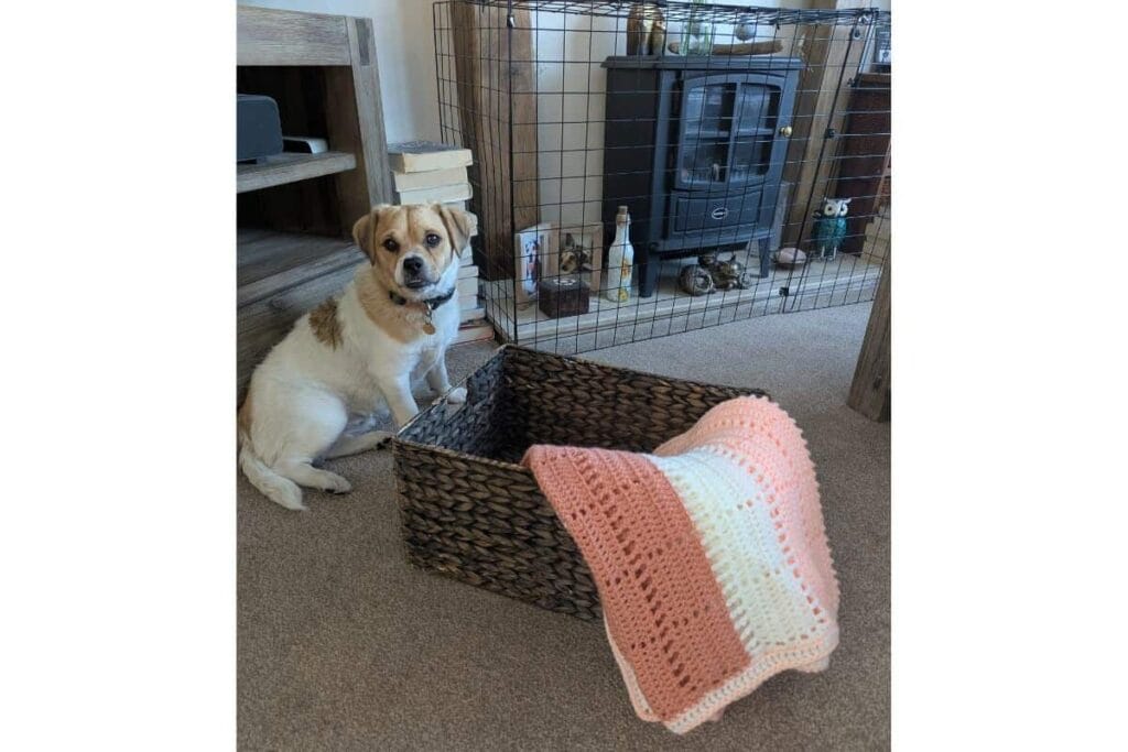 Marlowe crochet lap blanket folded over a woven basket beside a small dog, showing the peach, off white and dusky peach colour palette